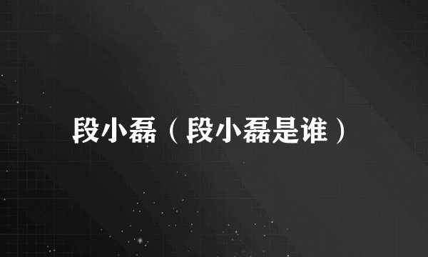 段小磊（段小磊是谁）