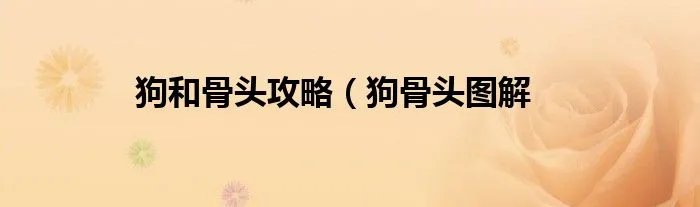 狗和骨头攻略（狗骨头图解
