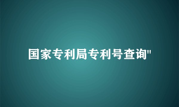国家专利局专利号查询