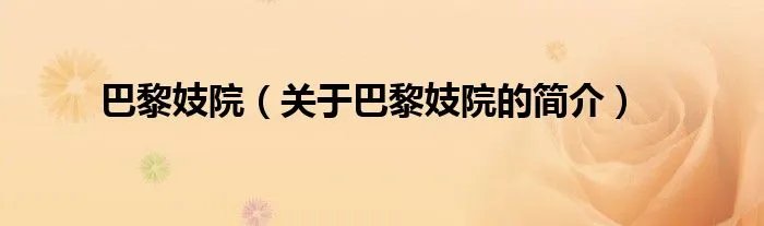 巴黎妓院（关于巴黎妓院的简介）