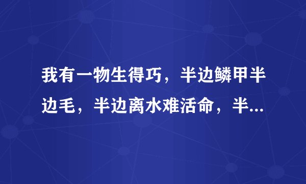 我有一物生得巧，半边鳞甲半边毛，半边离水难活命，半边入水命难保。 （打一字）