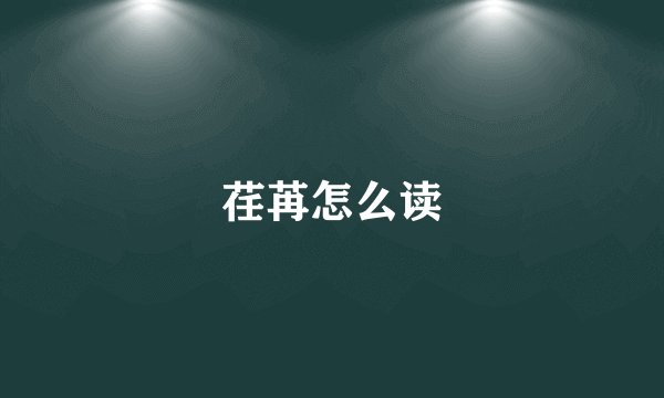 荏苒怎么读