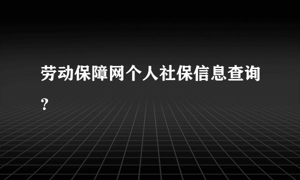 劳动保障网个人社保信息查询？