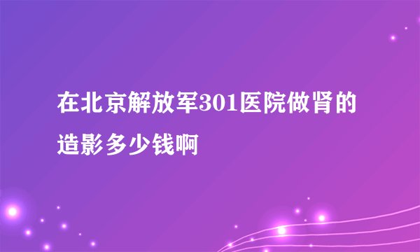 在北京解放军301医院做肾的造影多少钱啊