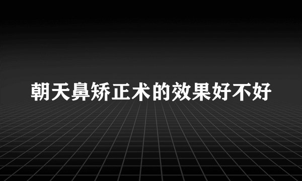 朝天鼻矫正术的效果好不好
