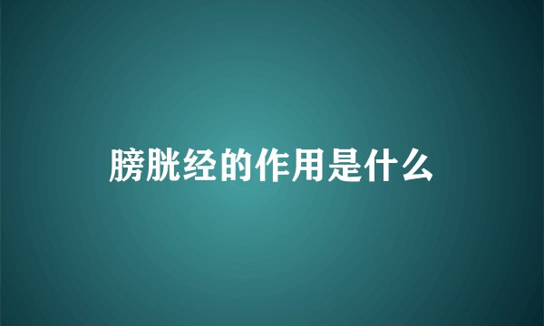 膀胱经的作用是什么