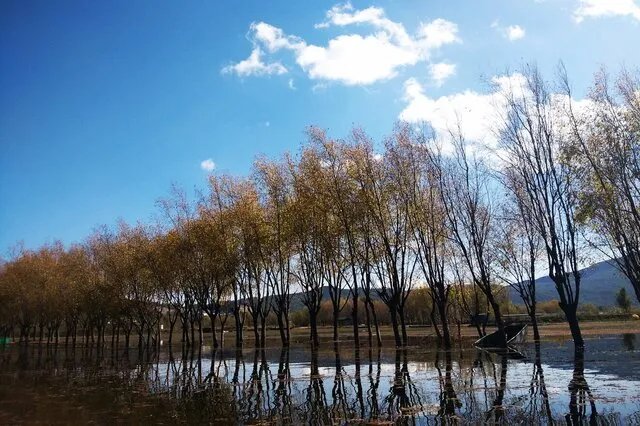 中国十大春节旅游目的地 春节旅游去哪里好 国内春节最适合去旅游的十大城市