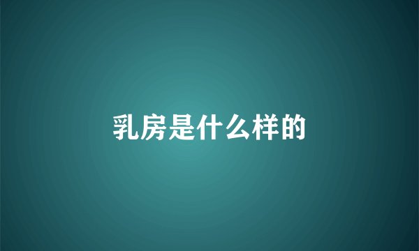 乳房是什么样的