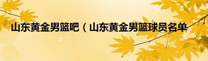 山东黄金男篮吧（山东黄金男篮球员名单