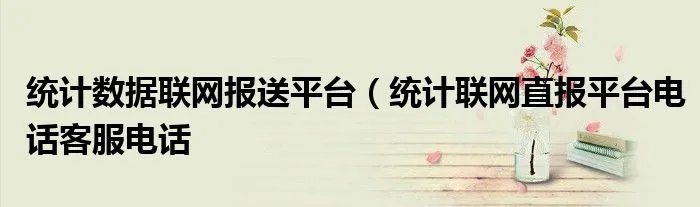 统计数据联网报送平台（统计联网直报平台电话客服电话
