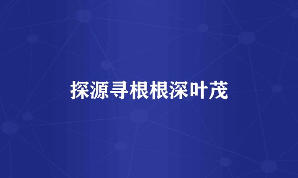 探源寻根根深叶茂