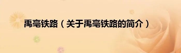 禹亳铁路（关于禹亳铁路的简介）