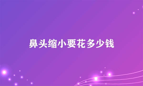 鼻头缩小要花多少钱