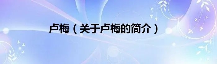 卢梅（关于卢梅的简介）