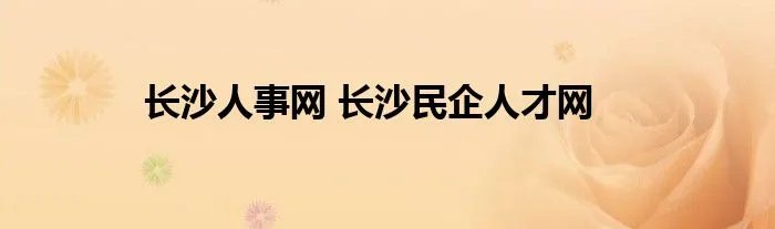 长沙人事网 长沙民企人才网