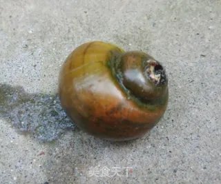 福寿螺