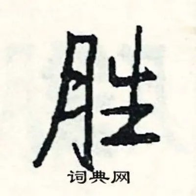 胜组词_胜字怎么组词_胜组词有哪些_带胜字的词语