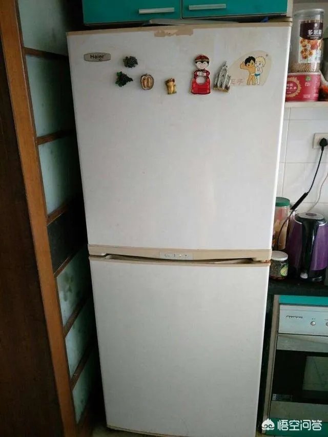 海尔张瑞敏是如何布局海尔公司的？
