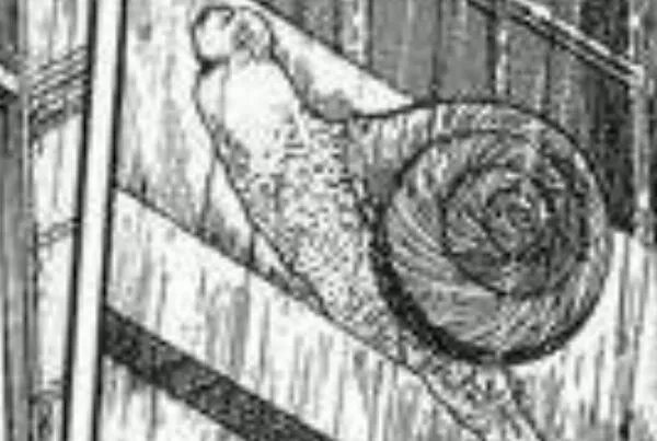 十宗罪蜗牛人真实照片:来自恐怖漫画(与行动缓慢有关)