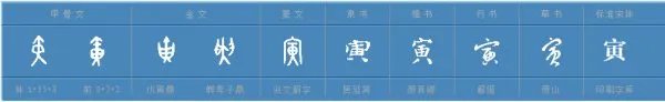 寅怎么读?