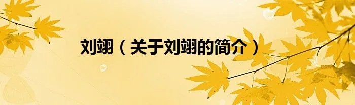 刘翊(关于刘翊的简介)