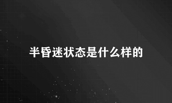 半昏迷状态是什么样的
