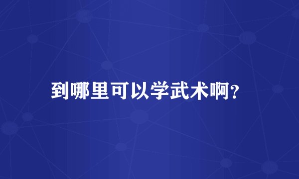 到哪里可以学武术啊？