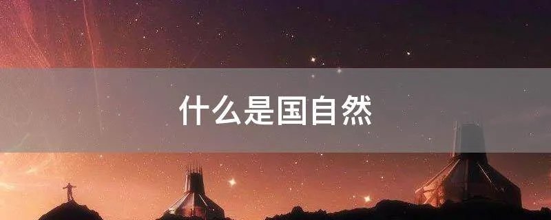 什么是国自然