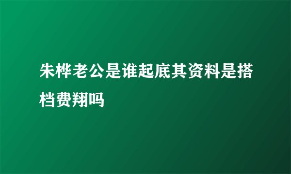 朱桦老公是谁起底其资料是搭档费翔吗