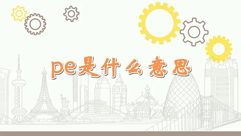 pe是什么意思