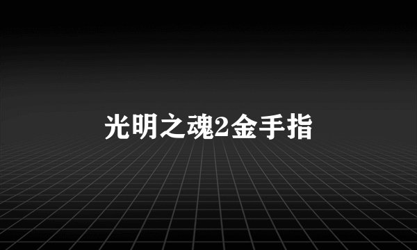 光明之魂2金手指