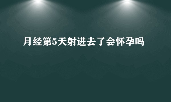 月经第5天射进去了会怀孕吗