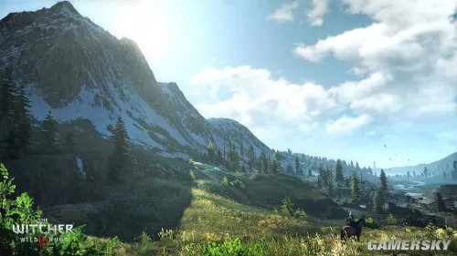 《巫师3》PC配置公布!爽玩需GTX770显卡