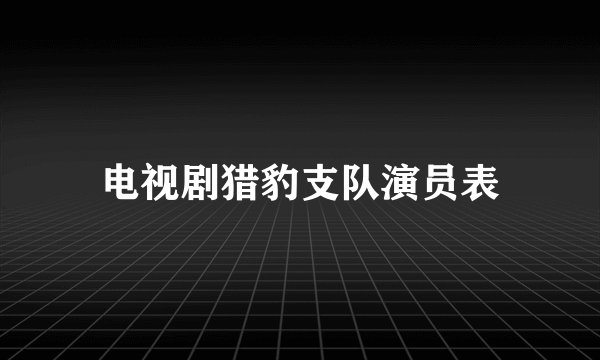 电视剧猎豹支队演员表