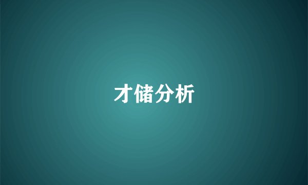 才储分析