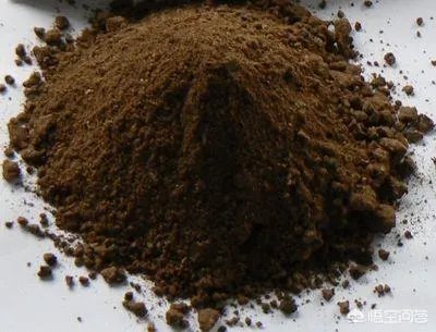 发酵棕榈粕到底有多好？如何使用？