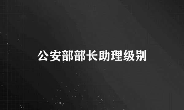 公安部部长助理级别