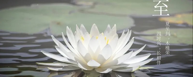 夏至是哪天