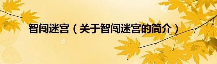 智闯迷宫（关于智闯迷宫的简介）
