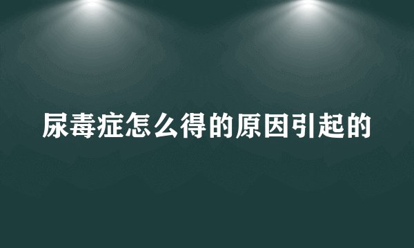 尿毒症怎么得的原因引起的