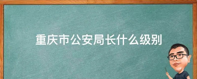 重庆市公安局长什么级别