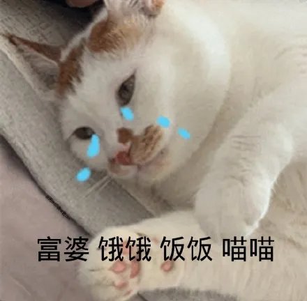 富婆饿饿饭饭表情包大全