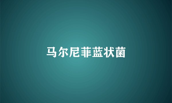 马尔尼菲蓝状菌