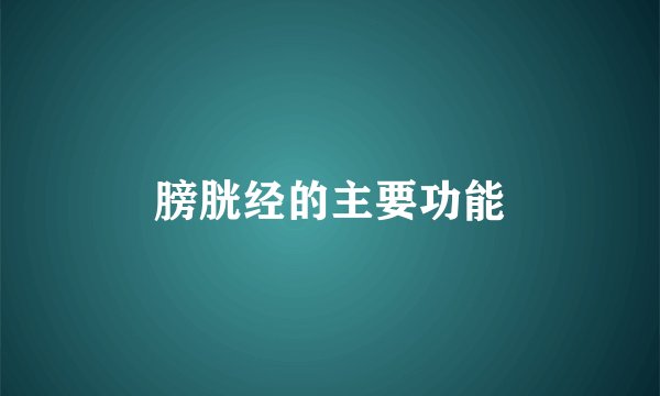 膀胱经的主要功能