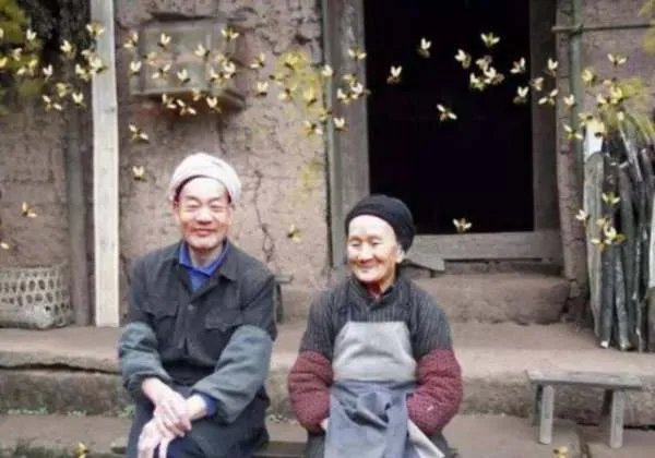 19岁小伙带29岁寡妇私奔,隐居深山50年,后来怎样?
