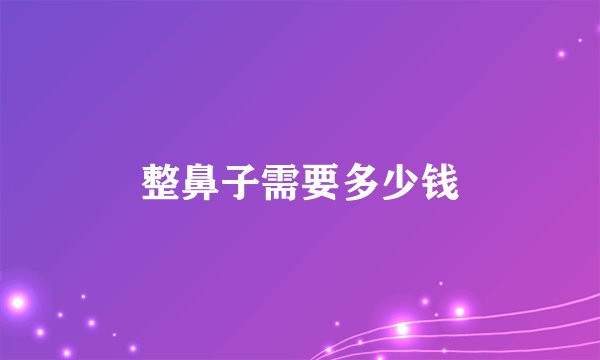 整鼻子需要多少钱