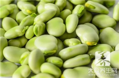 蚕豆功效与作用及禁忌
