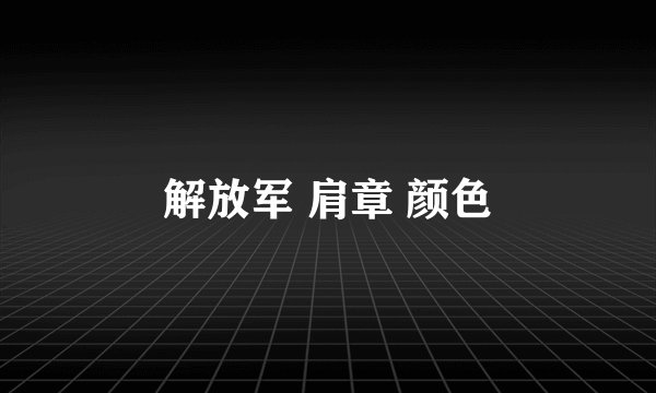 解放军 肩章 颜色