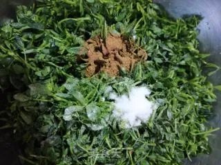 苜蓿菜
