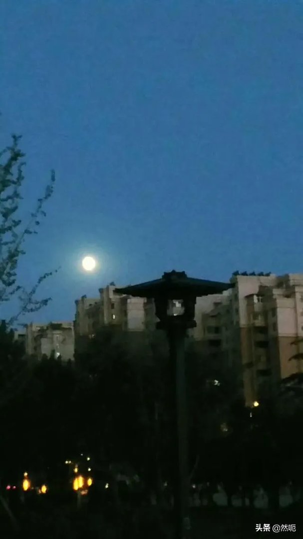 普通人怎么拍出好看的照片?